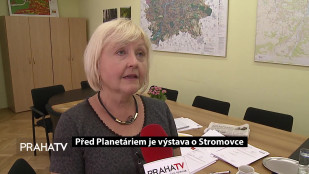 Výstavu o Stromovce naleznete ve Stromovce 