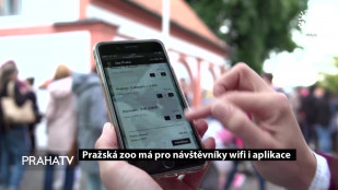 Pražská Zoo má pro návštěvníky wifi i aplikace 
