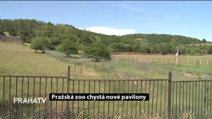 Pražská Zoo chystá nové pavilony