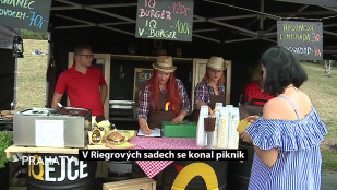 V Riegrových sadech se konal piknik 