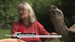 Pražská Zoo láká na zajímavé chovy zvířat