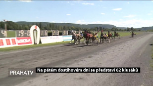 Na pátém dostihovém dni se představí 62 klusáků