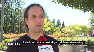 Zeleň pomáhá zmírnit dopady klimatické změny