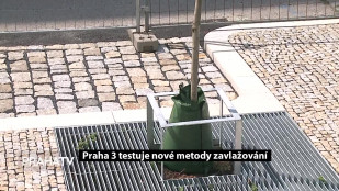 Praha 3 testuje nové metody zavlažování