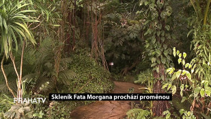 Skleník Fata Morgana prochází proměnou