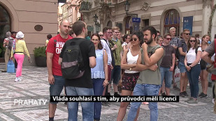 Vláda souhlasí s tím, aby průvodci měli licenci