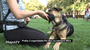 Praha 2 uspořádala Psí den na náměstí Míru