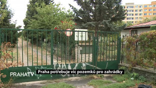 Praha potřebuje víc pozemků pro zahrádky