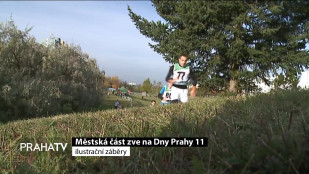 Městská část zve na Dny Prahy 11