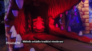 Mělník ovládlo tradiční vinobraní