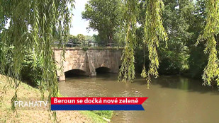 Beroun se dočká nové zeleně