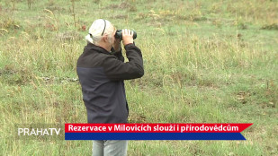 Rezervace v Milovicích slouží i přírodovědcům