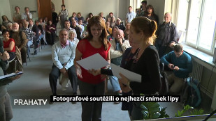Fotografové soutěžili o nejhezčí snímek lípy