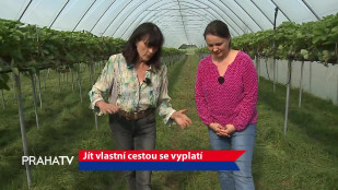 Jít vlastní cestou se vyplatí