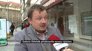 Galerie Skleňák představila novou výstavu 