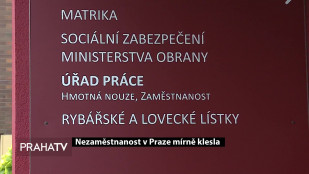 Nezaměstnanost v Praze mírně klesla