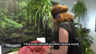 V Botanické zahradě prověříte všechny smysly