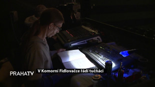 V Komorní Fidlovačce řádí tučňáci