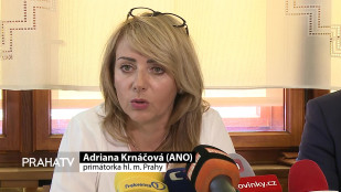 Kaplického knihovna by mohla stát na Letné