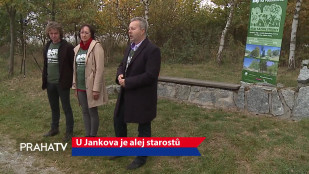 U Jankova je alej starostů