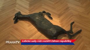 Lidické sady růží rozšířil Záhon republiky