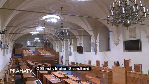 ODS má v klubu 18 senátorů