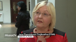 Radní Jana Plamínková bilancovala