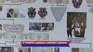 Zámek Dobříš láká na šlechtickou výstavu