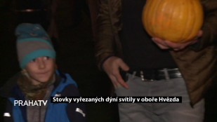 Stovky vyřezaných dýní svítily v Oboře Hvězda