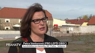Šeberov zřejmě dál povede Petra Venturová