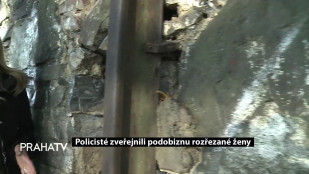 Policisté zveřejnili podobiznu rozřezané ženy
