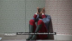 Netrpělivost srdce hraje ve Stavovském divadle