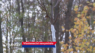 Vlastenectví nevymřelo