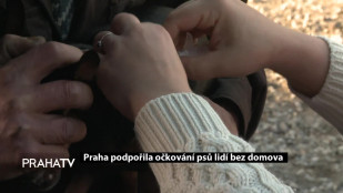 Praha podpořila očkování psů lidí bez domova