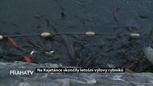 Na Kajetánce skončily letošní výlovy rybníků