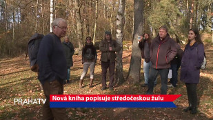 Nová kniha popisuje středočeskou žulu