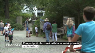 Zoo podpoří ohrožená zvířata ve volné přírodě