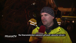 Na Staroměstské náměstí přivezli vánoční strom