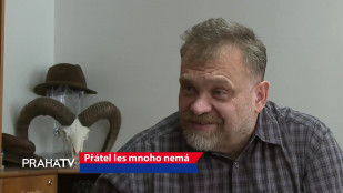 Přátel les mnoho nemá