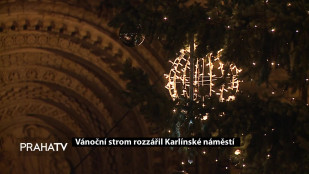 Vánoční strom rozzářil Karlínské náměstí