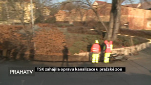 TSK zahájila opravu kanalizace u pražské ZOO