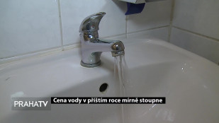 Cena vody v příštím roce mírně stoupne