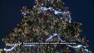 Staroměstské náměstí rozzářil vánoční strom