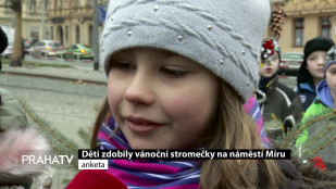 Děti zdobily vánoční stromečky na náměstí Míru