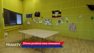 Dřevo prožívá svou renesanci