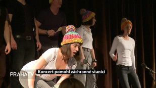 Koncert pomohl záchranné stanici