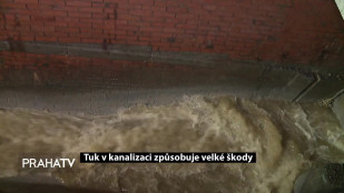 Tuk v kanalizaci způsobuje velké škody