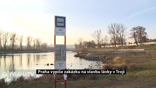 Praha vypíše zakázku na stavbu lávky v Troji