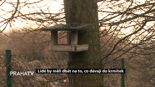 Lidé by měli dbát na to, co dávají do krmítek