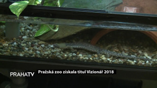 Pražská zoo získala titul Vizionář 2018 
